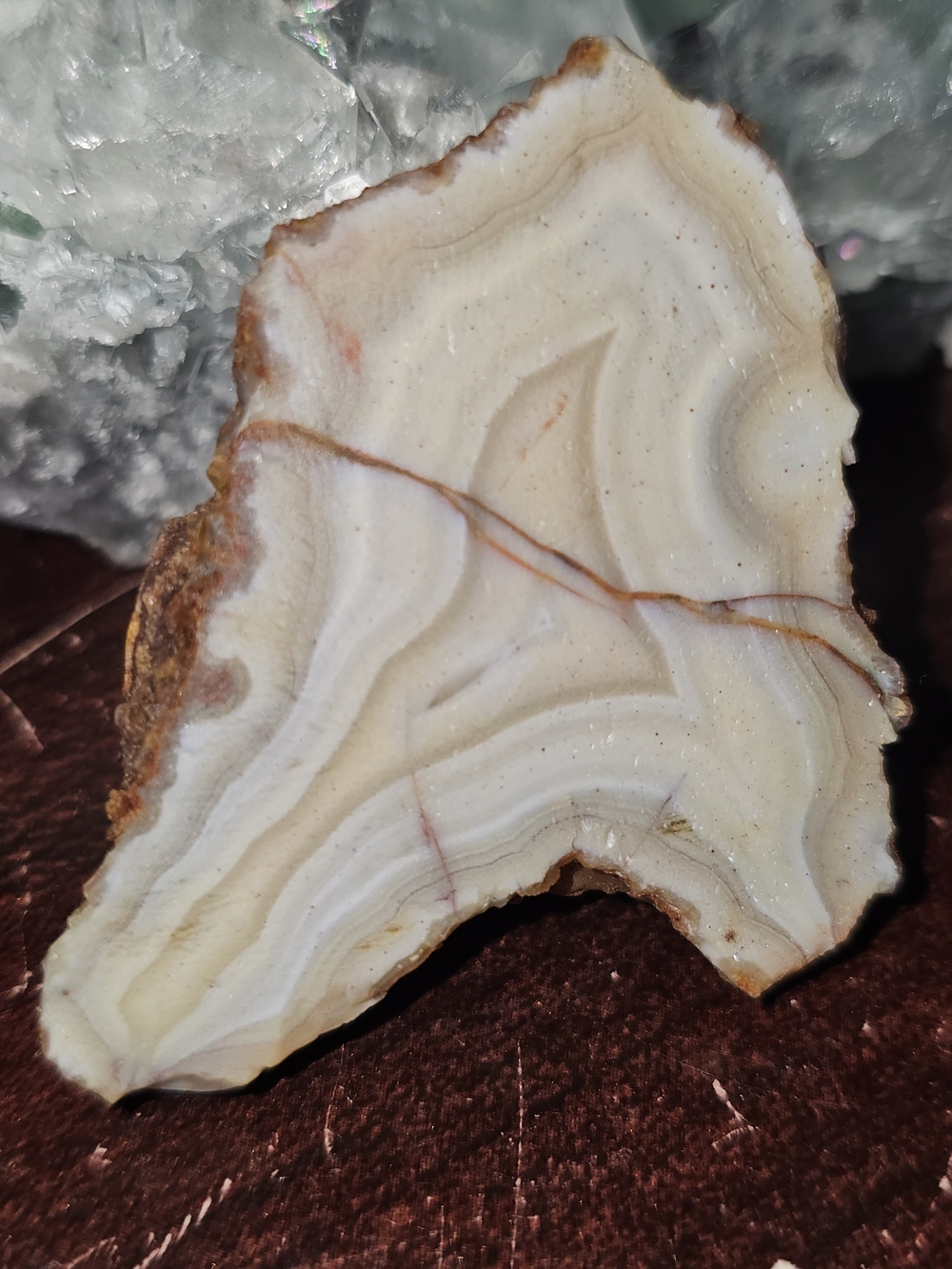 Natural Agate Display Slice in Cream and Brown